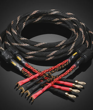 High-End Hifi Luidsprekerkabel - 6N OFC Koper, Vergulde Banana/Y-stekkers