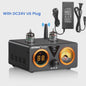 AIYIMA T9 PRO HiFi Bluetooth 5.2 Tube Versterker met VU Meter - 100W x 2 Stereo Audio Amp met USB DAC, COAX & OPT