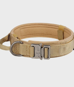 Sterke Tactische Hondenhalsband met Metalen Gesp - Nylon, Verstelbaar voor Training & Dagelijks Gebruik