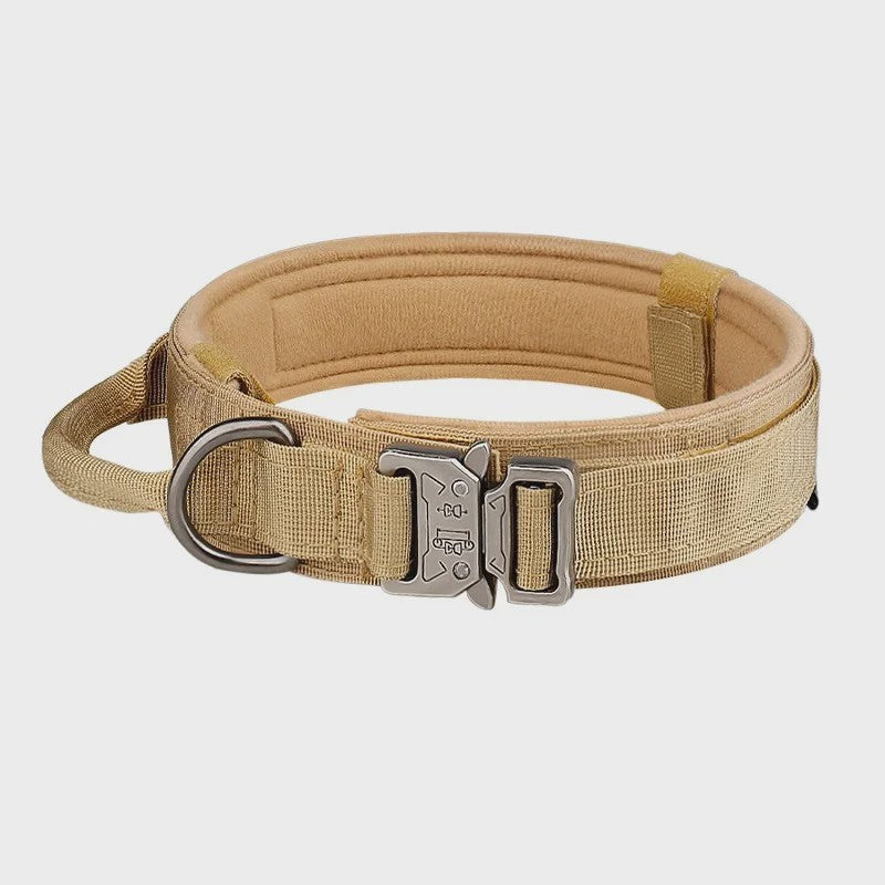 Sterke Tactische Hondenhalsband met Metalen Gesp - Nylon, Verstelbaar voor Training & Dagelijks Gebruik