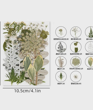 30 Stuks Gedroogde Persbloemen - Natuurlijke Bloemen & Bladeren voor Resin Art, Knutselen en Decoratie