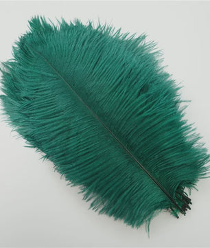 Set van 10 Gekleurde Struisvogelveren voor Knutselen, Decoratie en Feesten