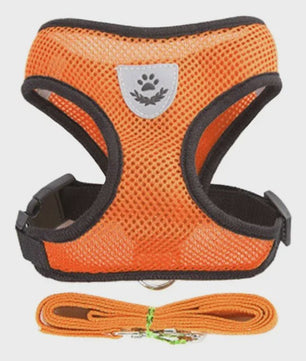 Verstelbaar Katten Tuigje met Lijn - Ademend Mesh Vest voor Kleine Honden & Katten