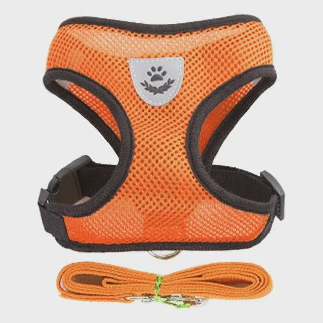 Verstelbaar Katten Tuigje met Lijn - Ademend Mesh Vest voor Kleine Honden & Katten