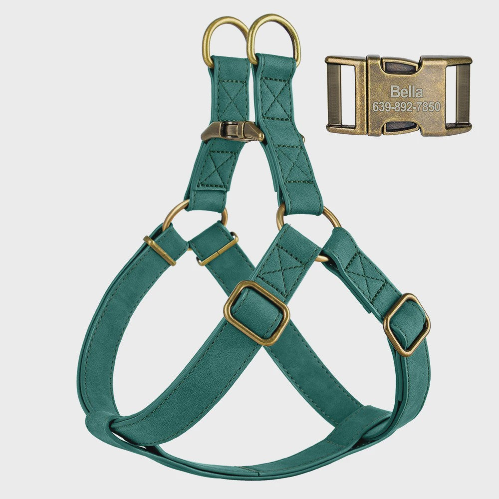Luxe PU Leder Hondentuig met Leash en Gepersonaliseerde ID Gesp - Duurzaam voor Kleine & Middelgrote Honden