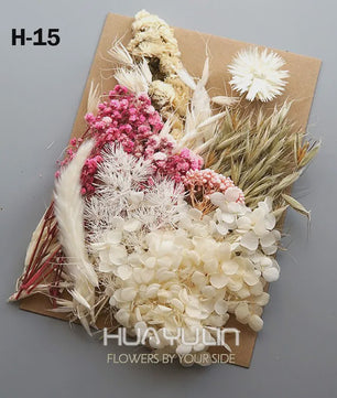 Set Gedroogde Bloemen & Hydrangea voor Ambacht & Decoratie