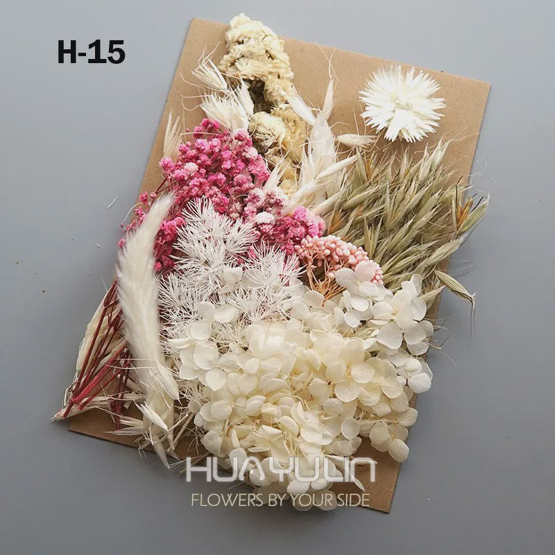 Set Gedroogde Bloemen & Hydrangea voor Ambacht & Decoratie