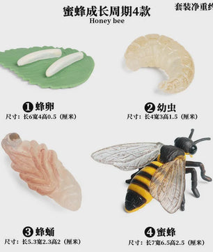 Realistische Insecten Speelgoed Set: Lieveheersbeestje, Bij, Spin & Meer - Educatief Plezier voor Kinderen