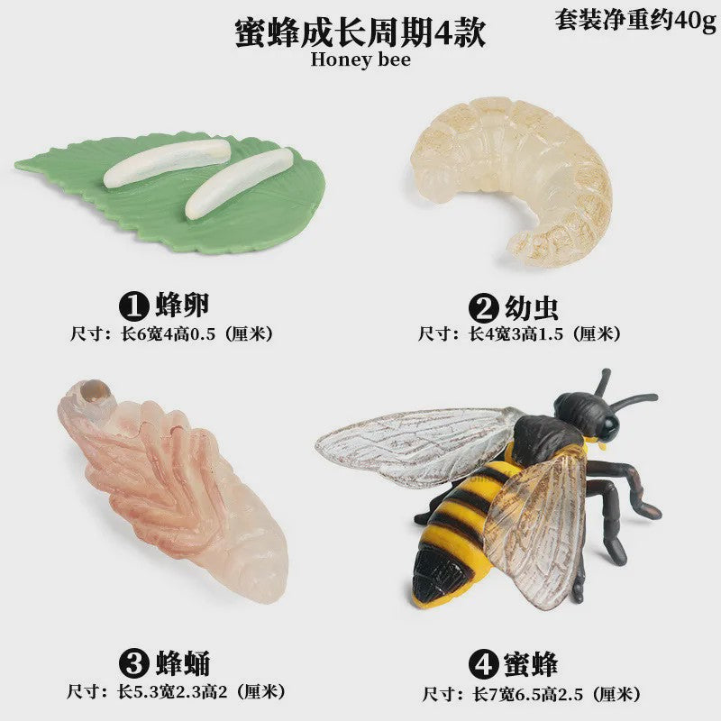 Realistische Insecten Speelgoed Set: Lieveheersbeestje, Bij, Spin & Meer - Educatief Plezier voor Kinderen