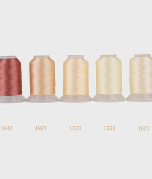 80 Kleuren Premium Polyester Borduurzijde Set - 500M Spoelen voor Huisborduurmachines