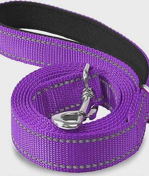 Veilige Hondentuig & Lijn Set met Nachtreflectie - Padded Handvat