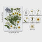 Set Gedroogde Bloemen & Bladeren (16-19 Stuks) - Natuurlijk & Realistisch