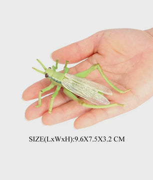 Realistische Insecten Model Figuren: Bidsprinkhaan, Bladwesp & Meer - Educatief Speelgoed & Decoratie