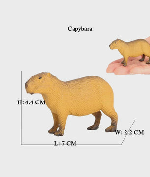 Set van 6 Realistische Dierenbeeldjes: Capibara, Eekhoorn & Marmot Speelgoed