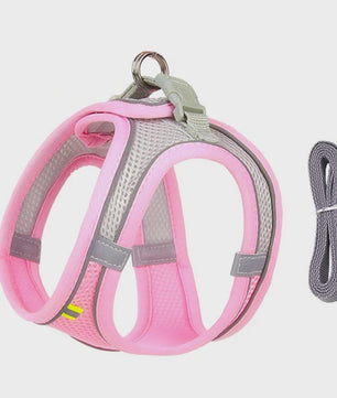 Verstelbaar Puppy en Kat Tuigje met Riem - Ideaal voor Kleine Honden zoals Chihuahua & Franse Bulldog