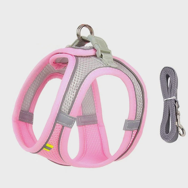 Verstelbaar Puppy en Kat Tuigje met Riem - Ideaal voor Kleine Honden zoals Chihuahua & Franse Bulldog