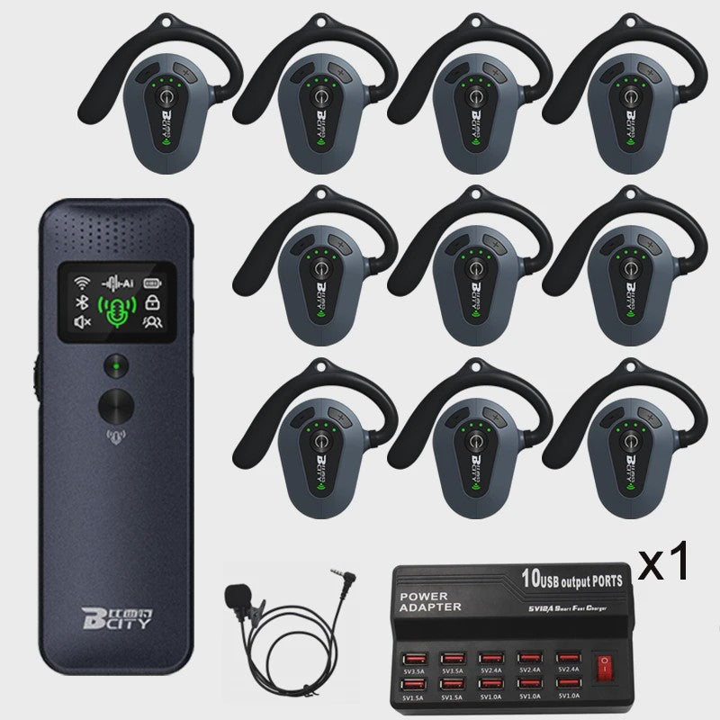 Professioneel 2.4GHz Draadloos Tour Guide Systeem met Groene Laser Pointer en Audio Headset