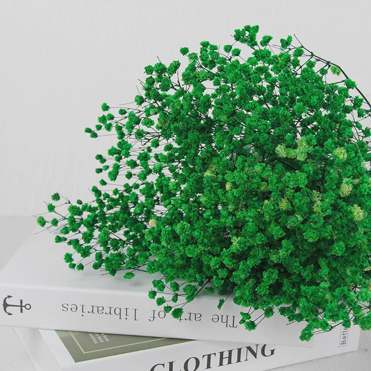 60g Gedroogde Baby's Breath Bloemboeket - Natuurlijke Gypsophila Decoratie