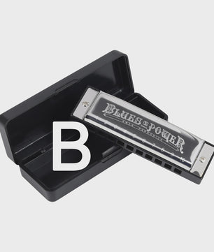 Professionele Diatonische Blues Harmonica - 10 Gaten, 20 Tonen, Inclusief Koffer