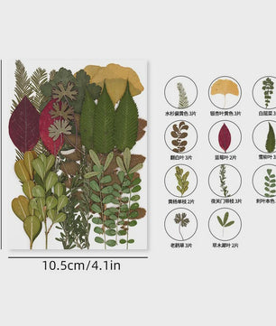 30 Stuks Gedroogde Persbloemen - Natuurlijke Bloemen & Bladeren voor Resin Art, Knutselen en Decoratie