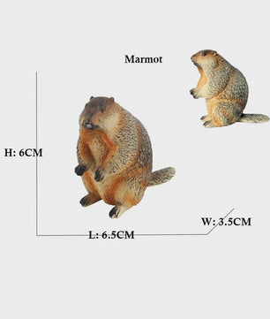 Set van 6 Realistische Dierenbeeldjes: Capibara, Eekhoorn & Marmot Speelgoed