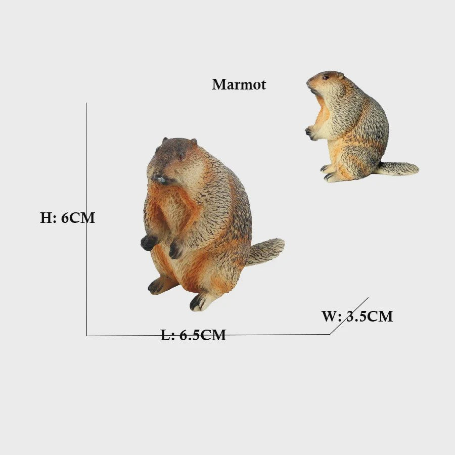 Set van 6 Realistische Dierenbeeldjes: Capibara, Eekhoorn & Marmot Speelgoed