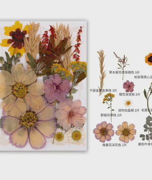 Set Gedroogde Bloemen & Bladeren (16-19 Stuks) - Natuurlijk & Realistisch