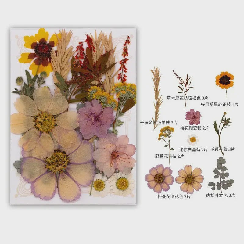 Set Gedroogde Bloemen & Bladeren (16-19 Stuks) - Natuurlijk & Realistisch