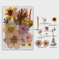 Set Gedroogde Bloemen & Bladeren (16-19 Stuks) - Natuurlijk & Realistisch
