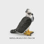 Realistische Roofvogel Figuren Set: Adelaar, Gier & Secretarisvogel - Educatief Speelgoed
