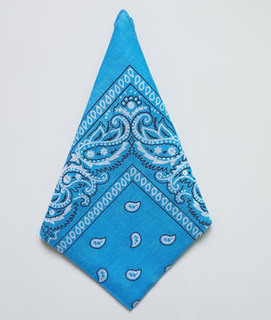 Klassieke Katoenen Bandana 55x55cm - Paisley Print Hoofdband voor Dames & Heren