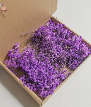 Gedroogde Mini Gipsenkruid Bloemen (100 stuks) - DIY Decoratie & Cadeau