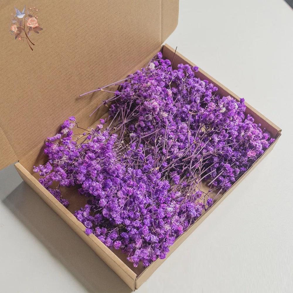 Gedroogde Mini Gipsenkruid Bloemen (100 stuks) - DIY Decoratie & Cadeau