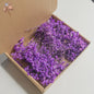 Gedroogde Mini Gipsenkruid Bloemen (100 stuks) - DIY Decoratie & Cadeau