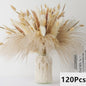 Natuurlijk Pampas Gras Boeket - Gedroogde Bloemen voor Boho Woondecoratie & Bruiloft
