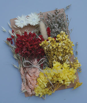 Set Gedroogde Bloemen & Hydrangea voor Ambacht & Decoratie