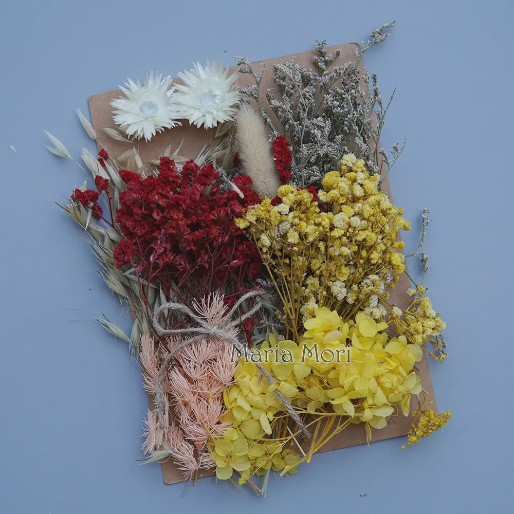 Set Gedroogde Bloemen & Hydrangea voor Ambacht & Decoratie