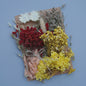 Set Gedroogde Bloemen & Hydrangea voor Ambacht & Decoratie