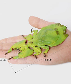 Realistische Insecten Model Figuren: Bidsprinkhaan, Bladwesp & Meer - Educatief Speelgoed & Decoratie