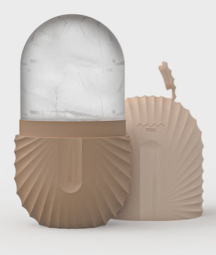 Gezichtsroller & Gua Sha Set: Luxe Roestvrij Staal & IJsroller voor Huidverzorging