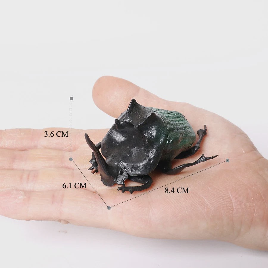 Realistische Insecten & Slakken Modellen - Educatief Speelgoed, Verzamelen & Decoratie