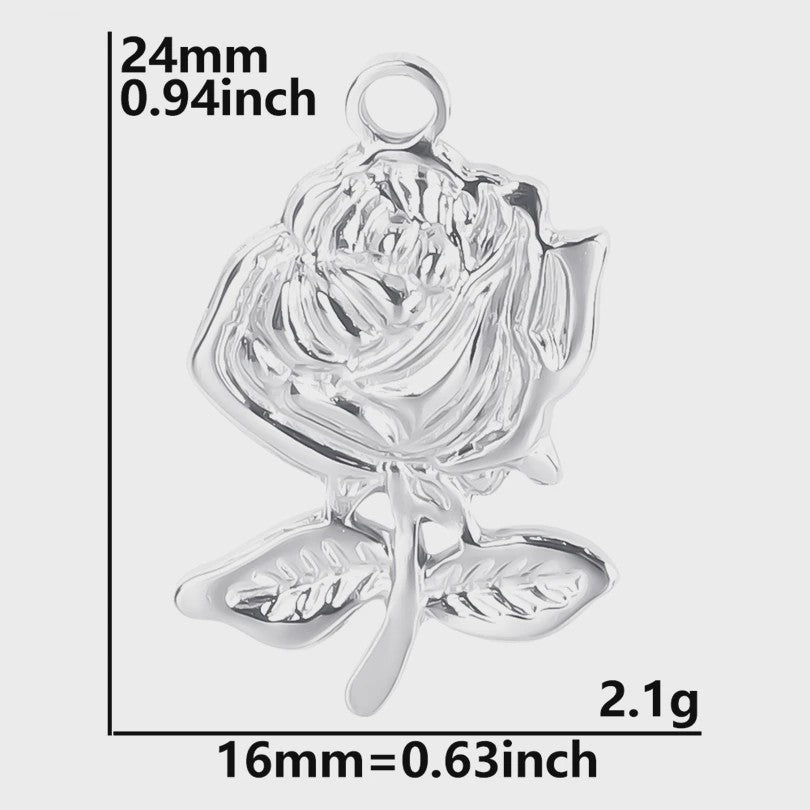 Set van 5 Zilverkleurige Stainless Steel Bedels: Ster, Maan, Zon, Vlinder, Roos & Ojo Turco