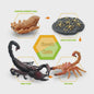 Montessori Levenscyclus Insecten Speelgoed: Spin, Duizendpoot, Schorpioen & Mier