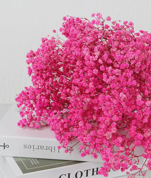 60g Gedroogde Baby's Breath Bloemboeket - Natuurlijke Gypsophila Decoratie