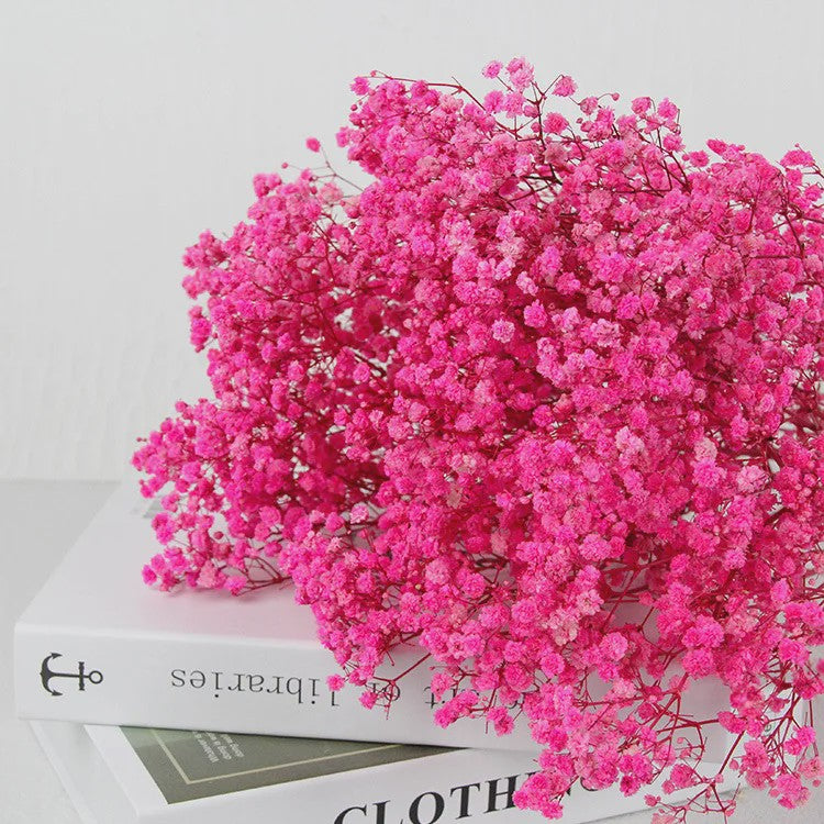 60g Gedroogde Baby's Breath Bloemboeket - Natuurlijke Gypsophila Decoratie