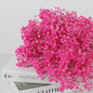 60g Gedroogde Baby's Breath Bloemboeket - Natuurlijke Gypsophila Decoratie