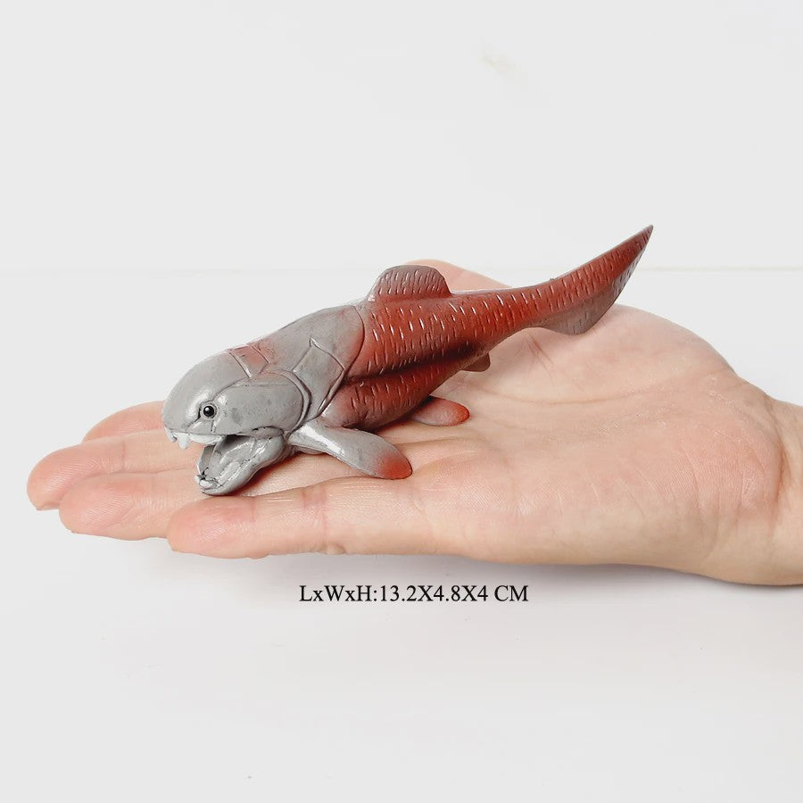 Educatieve Prehistorische Zeedieren Figuren Set: Baculite, Opabinia, Krab & Meer