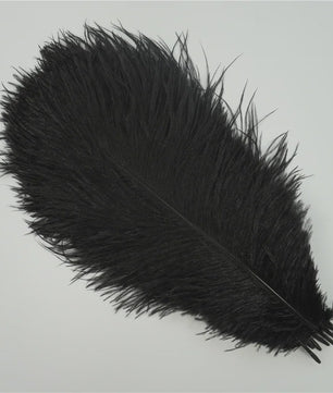 Set van 10 Gekleurde Struisvogelveren voor Knutselen, Decoratie en Feesten