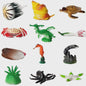 Plastic Dieren Speelgoed Collectie: Zee, Land & Insecten Miniatuur Set voor Kinderen