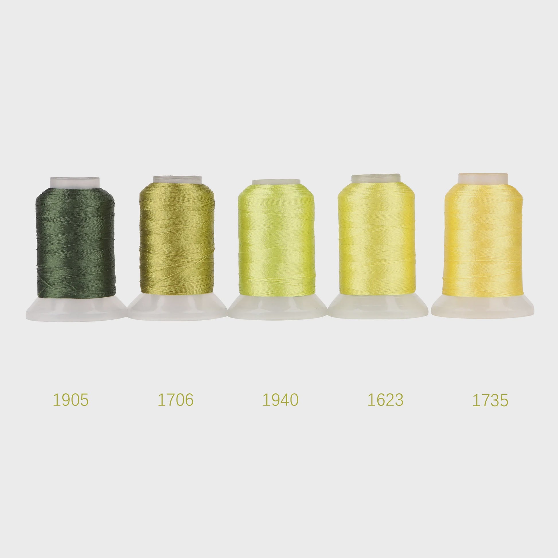 80 Kleuren Premium Polyester Borduurzijde Set - 500M Spoelen voor Huisborduurmachines